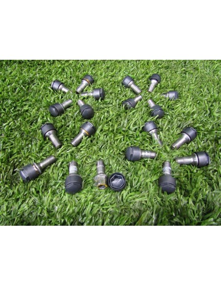 TORNILLOS DE RUEDA AUDI Q2 - 93029