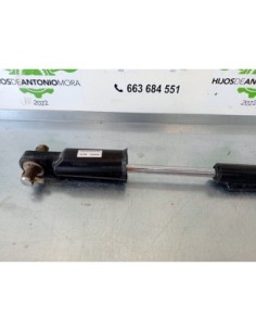 BOTELLA ELEVAR CABINA MERCEDES ACTROS 5 L-FAHRERHAUS... 2