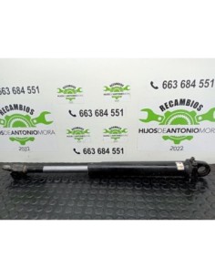 BOTELLA ELEVAR CABINA RENAULT MAGNUM 480 DXI - 97553