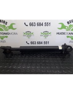 BOTELLA ELEVAR CABINA RENAULT MAGNUM 480 DXI - 97676