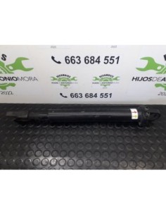 BOTELLA ELEVAR CABINA RENAULT MAGNUM 480 DXI - 97676 2