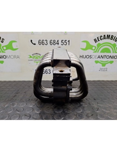 SERPENTIN SCANIA SERIE P/G/R - 101385