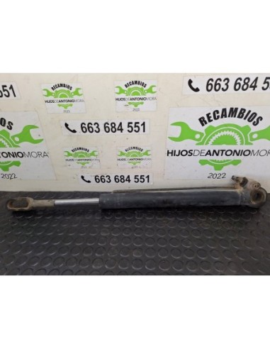 BOTELLA ELEVAR CABINA RENAULT MIDLUM - 101679