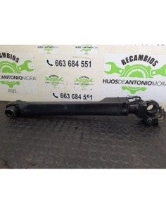 BOTELLA ELEVAR CABINA RENAULT SERIE T - 102827 2