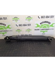 BOTELLA ELEVAR CABINA RENAULT SERIE T - 102828 2