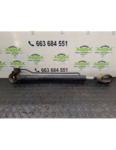 BOTELLA ELEVAR CABINA MAN 8 163 - 104171 2