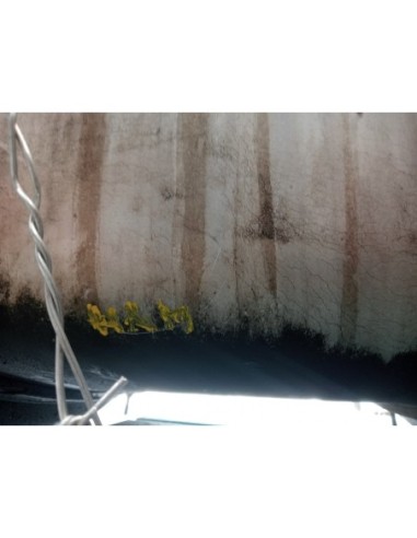 FLEXIBLE ESCAPE RENAULT MIDLUM - 107246