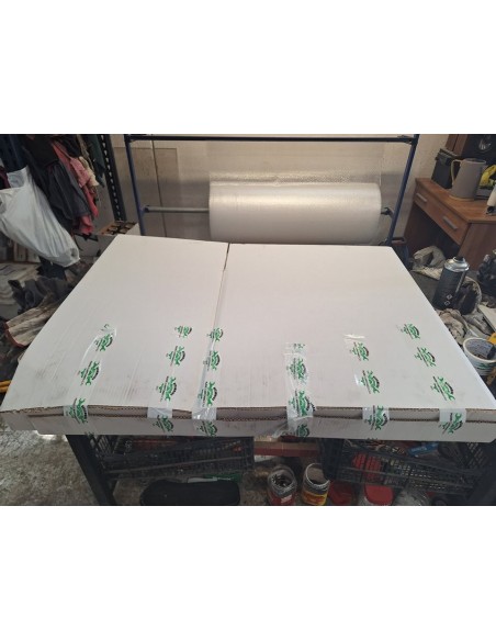 BOTELLA ELEVAR CABINA RENAULT MAGNUM 480 DXI - 97676