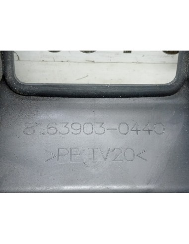 [113808] EMBELLECEDOR - MAN TGX 35.XXX (01/2007...