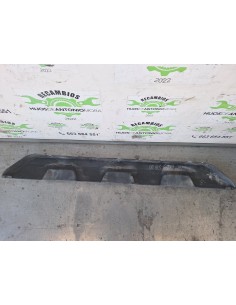 [113439] EMBELLECEDOR - MAN TGX 35.XXX (01/2007 - ...)