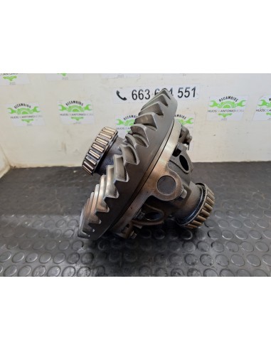 [112599] GRUPO DIFERENCIAL TRASERO - MAN 8.163