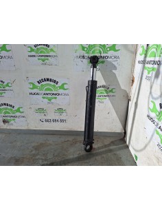 [112480] BOTELLA ELEVAR CABINA - SCANIA SERIE 4 (P/R 94...