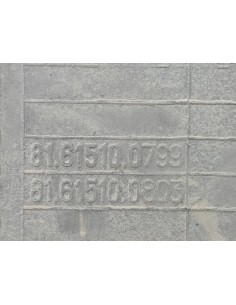 [112165] ESTRIBO DELANTERO IZQUIERO - MAN TGX 35.XXX...