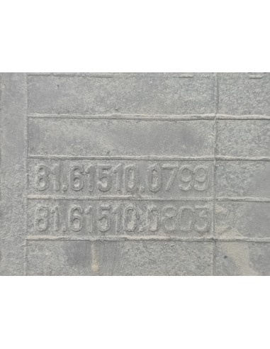 [112165] ESTRIBO DELANTERO IZQUIERO - MAN TGX...