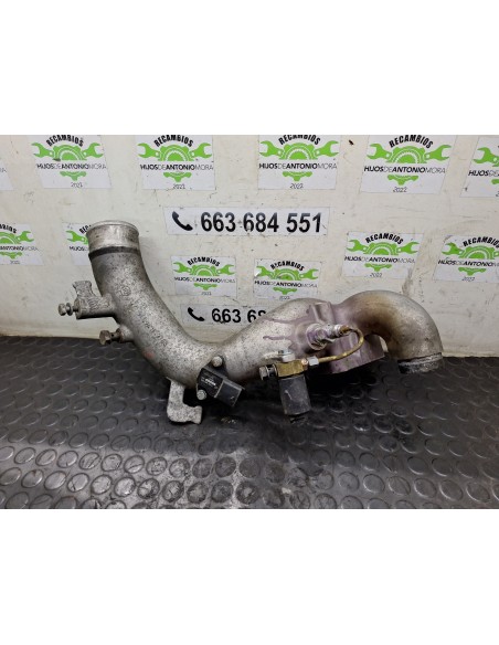 [111574] COLECTOR ADMISION - MAN TG - L 12.XXX (01/2005 - 12/2020)