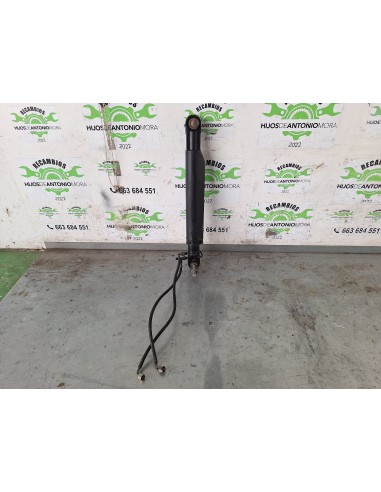 [113802] BOTELLA ELEVAR CABINA - RENAULT KERAX...