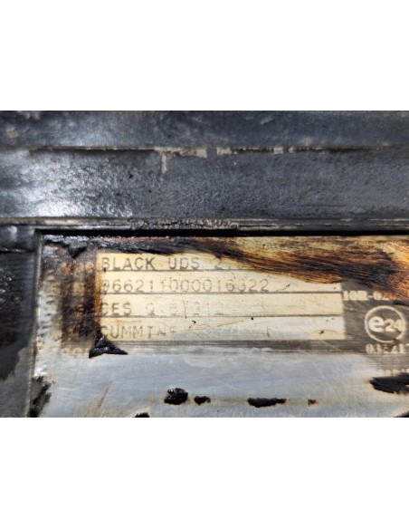 [110302] MODULO ADBLUE - DAF SERIE LF45.XXX DESDE 06