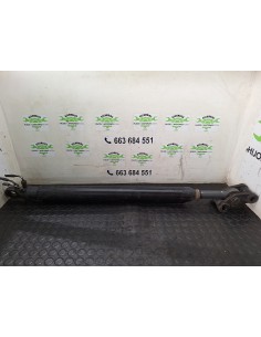 [110213] BOTELLA ELEVAR CABINA - DAF SERIE 95 XF .XXX 2