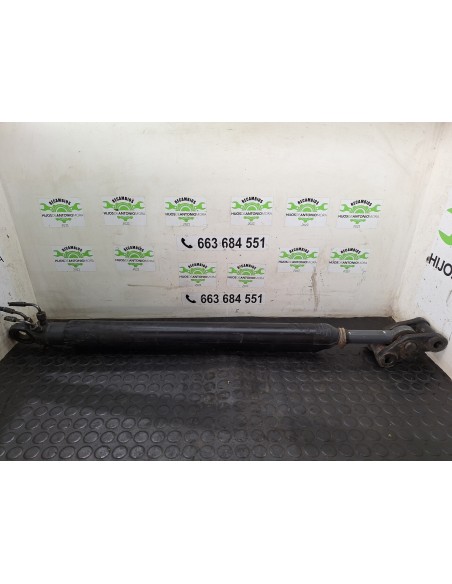 [110213] BOTELLA ELEVAR CABINA - DAF SERIE 95 XF .XXX