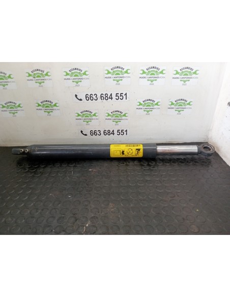 [109759] BOTELLA ELEVAR CABINA - SCANIA SERIE 4 (P/R 94 G) (01/1996 - 01/2004)