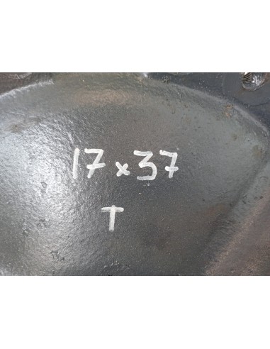 [109754] GRUPO DIFERENCIAL TRASERO - RENAULT...