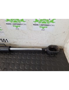 [109402] BOTELLA ELEVAR CABINA - MAN F2000 28.314