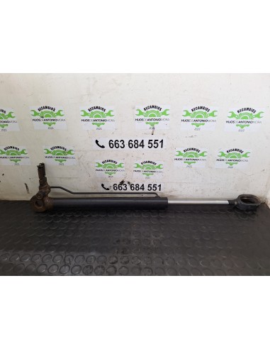 [109402] BOTELLA ELEVAR CABINA - MAN F2000 28.314