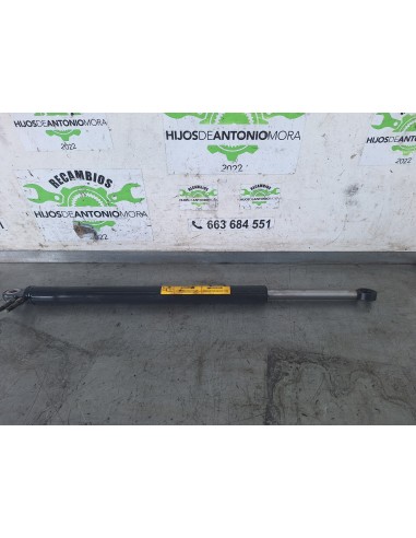 [109241] BOTELLA ELEVAR CABINA - IVECO...