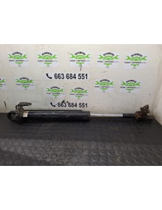 [108855] BOTELLA ELEVAR CABINA - RENAULT MAGNUM... 2