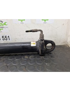 [108853] BOTELLA ELEVAR CABINA - RENAULT MAGNUM... 2