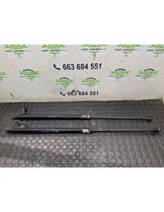 [108365] AMORTIGUADORES MALETERO / PORTON - CITROEN C4...