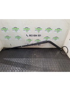 [107965] BRAZO LIMPIA - MAN TG - L 12.XXX (01/2005 -...