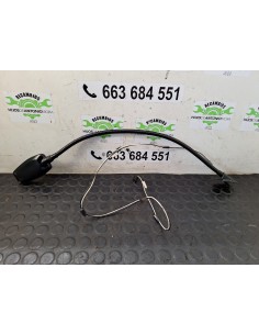 [107909] LUZ INTERIOR - RENAULT SERIE T (01/2013 - ...) 2