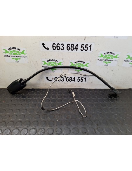 [107909] LUZ INTERIOR - RENAULT SERIE T (01/2013 - ...)