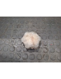 [107487] TAPA DEPOSITO EXPANSION - VOLVO FL 608 (01/1987... 2