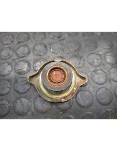 [107421] TAPA DEPOSITO EXPANSION - NISSAN...