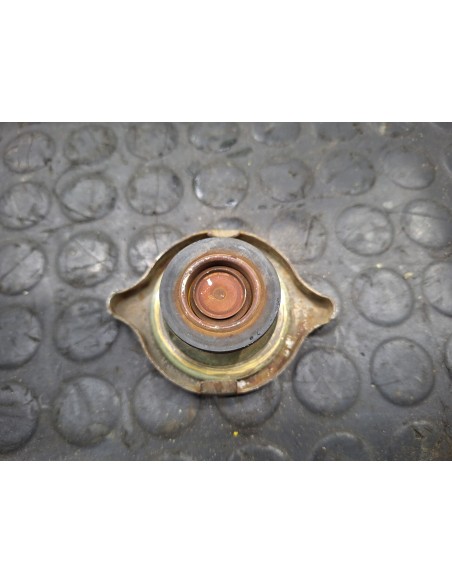 [107421] TAPA DEPOSITO EXPANSION - NISSAN CABSTAR E (01/2002 - 12/2003)