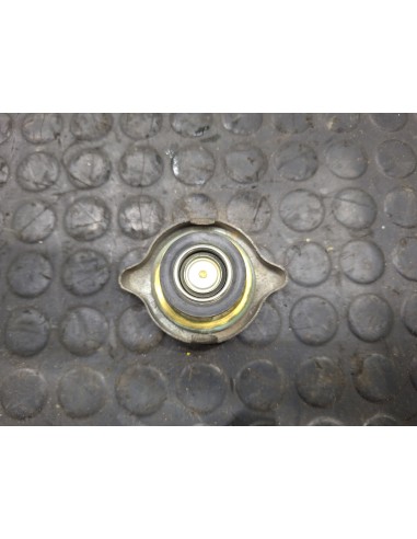 [107420] TAPA DEPOSITO EXPANSION - NISSAN...