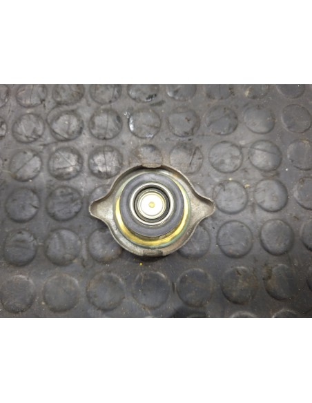 [107420] TAPA DEPOSITO EXPANSION - NISSAN CABSTAR E (01/2002 - 12/2003)