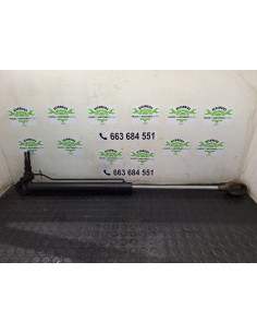 [107257] BOTELLA ELEVAR CABINA - MAN LE 140 2