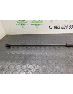 [104812] AMORTIGUADOR REJILLA DELANTERA - MAN TG - L... 2