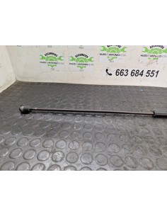 [104813] AMORTIGUADOR REJILLA DELANTERA - MAN TG - L... 2