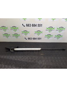 [103310] AMORTIGUADORES CAPO - PEUGEOT 107 2