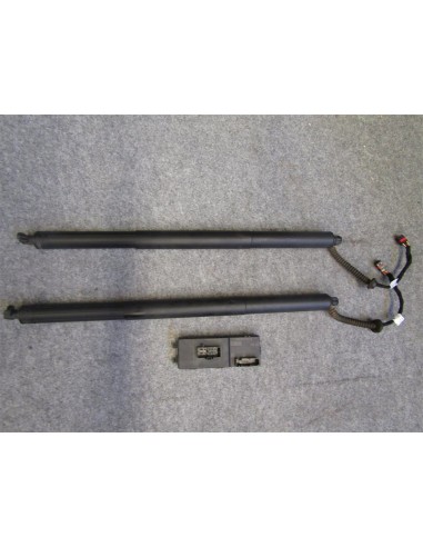 [94021] AMORTIGUADORES MALETERO / PORTON -...