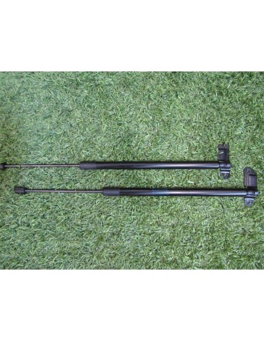 [93925] AMORTIGUADORES MALETERO / PORTON -...