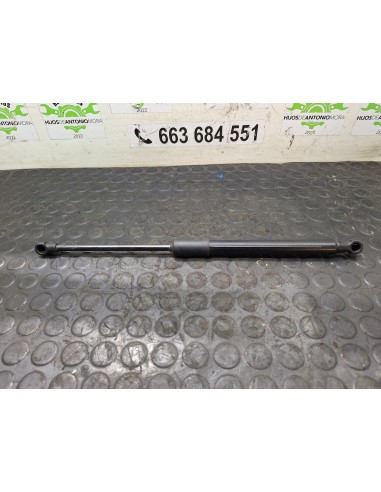 [104841] AMORTIGUADORES MALETERO / PORTON -...