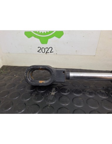 [102229] BOTELLA ELEVAR CABINA - MAN F2000 28.314