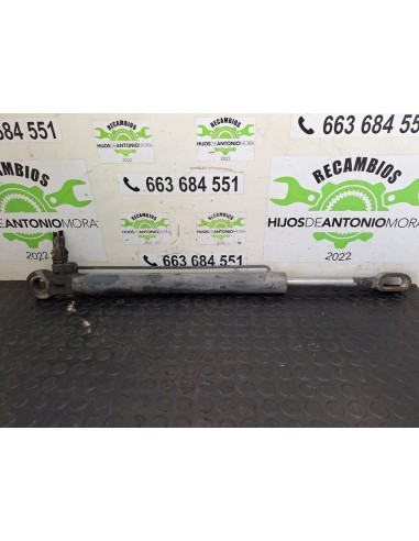 [102781] BOTELLA ELEVAR CABINA - DAF SERIE LF45...