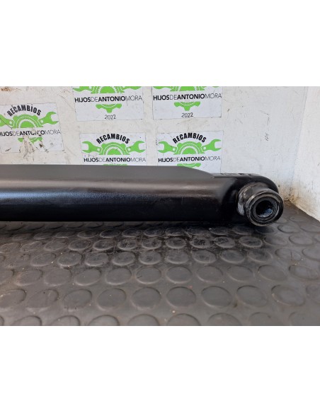 [105818] BOTELLA ELEVAR CABINA - RENAULT SERIE T (01/2013 - ...)