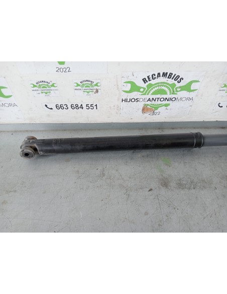 [105006] BOTELLA ELEVAR CABINA - DAF SERIE XF EURO 6 (01/2013 - ...)